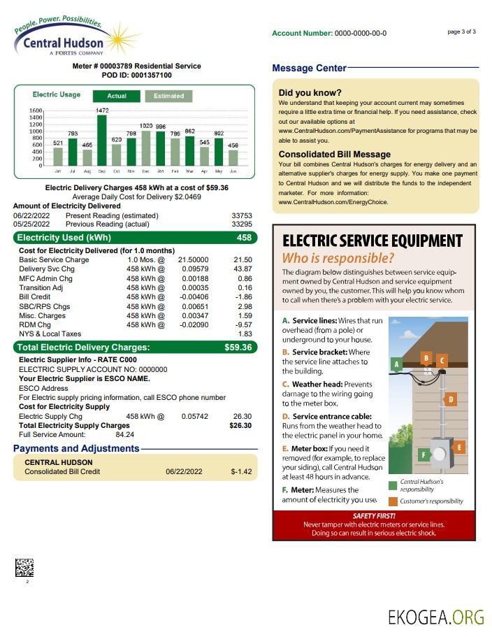 Usa New york central hudson a fortis company utility bill, word and pdf template, 3 pages 3 template